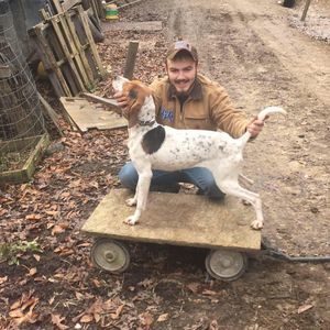 Meet your Posher, Harley